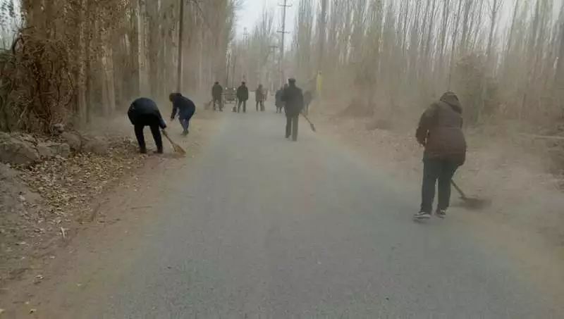 环保专栏丨清洁家园 建设美丽乡村