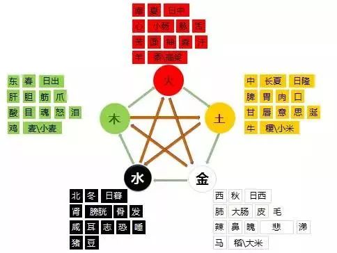 自然力的智慧——五行针灸提高班分享(一)