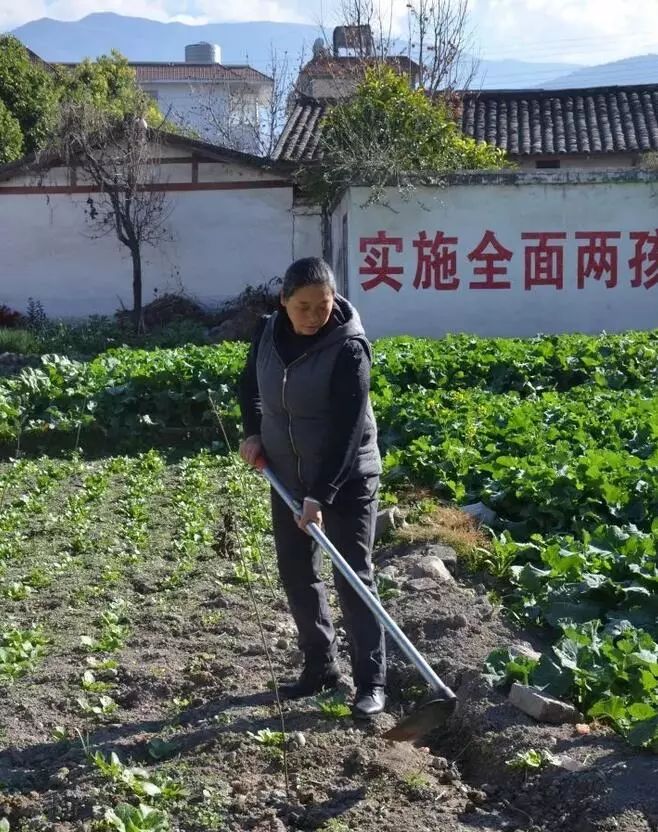 邓思会,女,汉族,50岁,西昌市月华乡红旗村村民,家庭农场主.