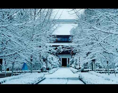 正文  清华园雪景(图:photofans摄影网@青铜镜) 北京大学 燕园雪景(图