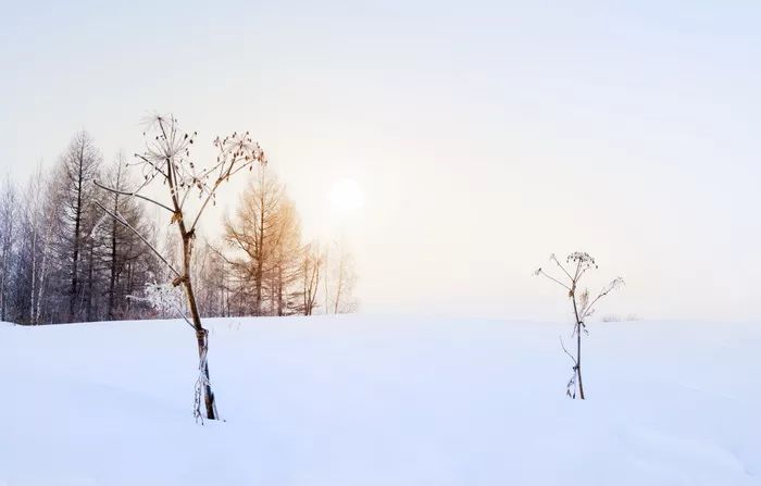 朗诵丨飘雪的冬天,依然温暖