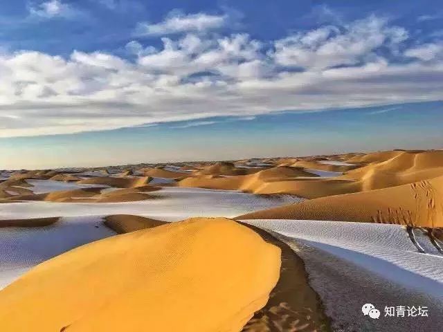 降央卓玛父亲的草原母亲的河简谱_望草原降央卓玛简谱(3)