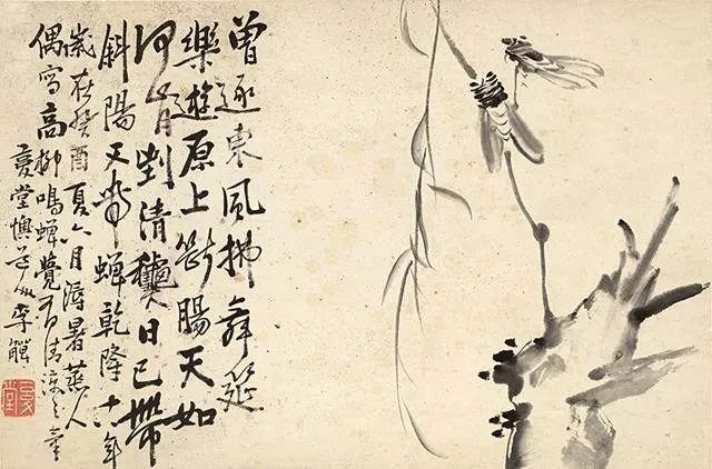 扬州八怪之李鱓《花鸟画十二开》狂的很文气