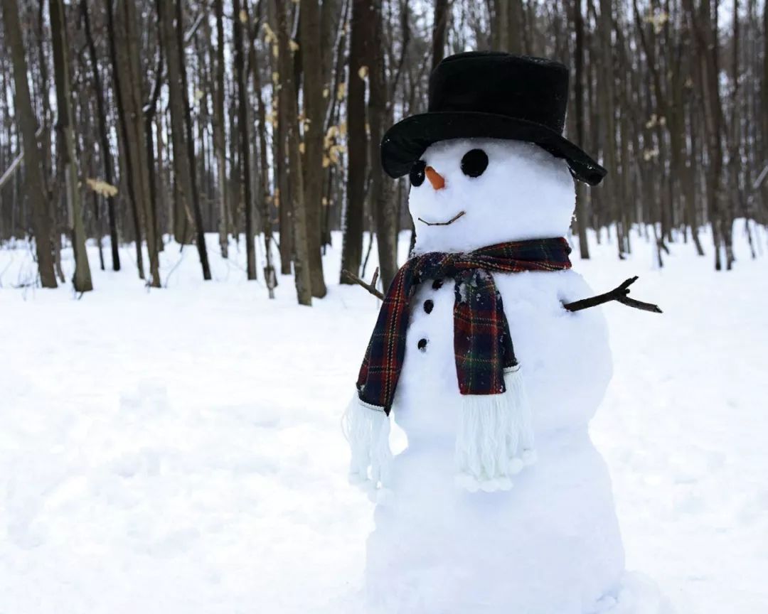 小伙伴们 既然下雪了 干雪仗,堆雪人,恶作剧 通知 下面给大家插播一