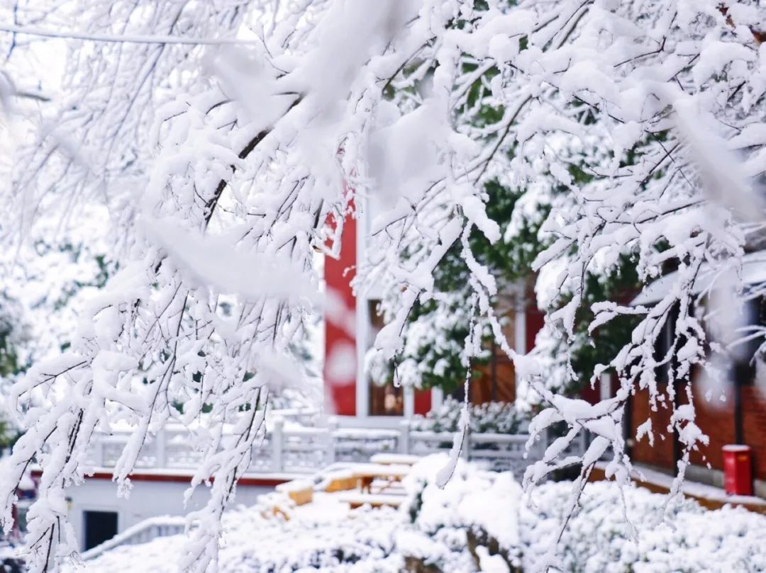 一场大雪过后,中国46家酒店雪景图刷爆朋友圈,哪一家最美?