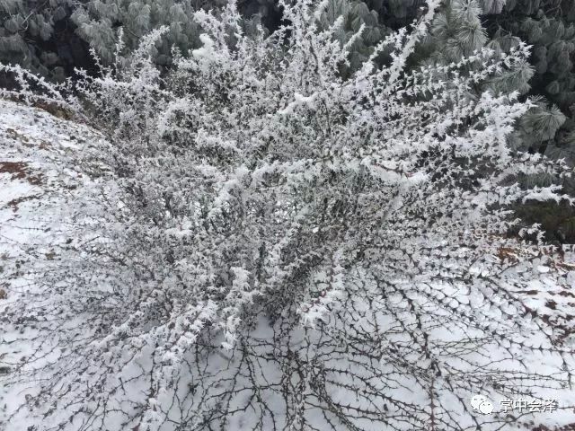 连续下雪11天，最低