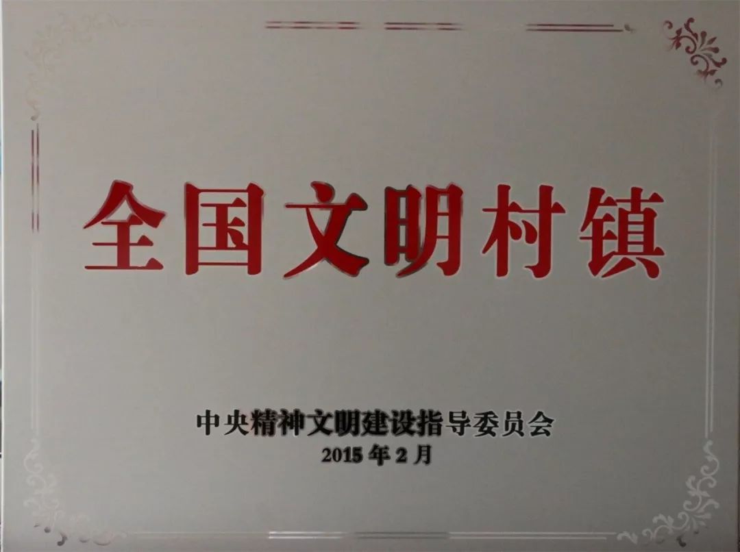 厉害了!东海青湖镇获批继续保留"全国文明村镇"荣誉称号,全市唯一!