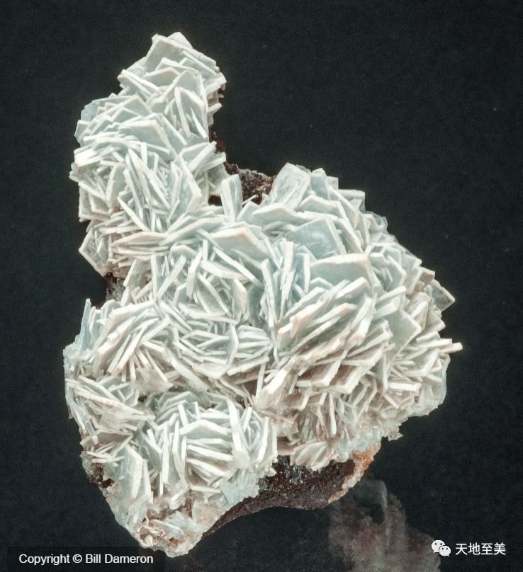 3,石膏(gypsum)7针状晶体此类晶体矿物有霓石,夕线石,辉铋矿等.