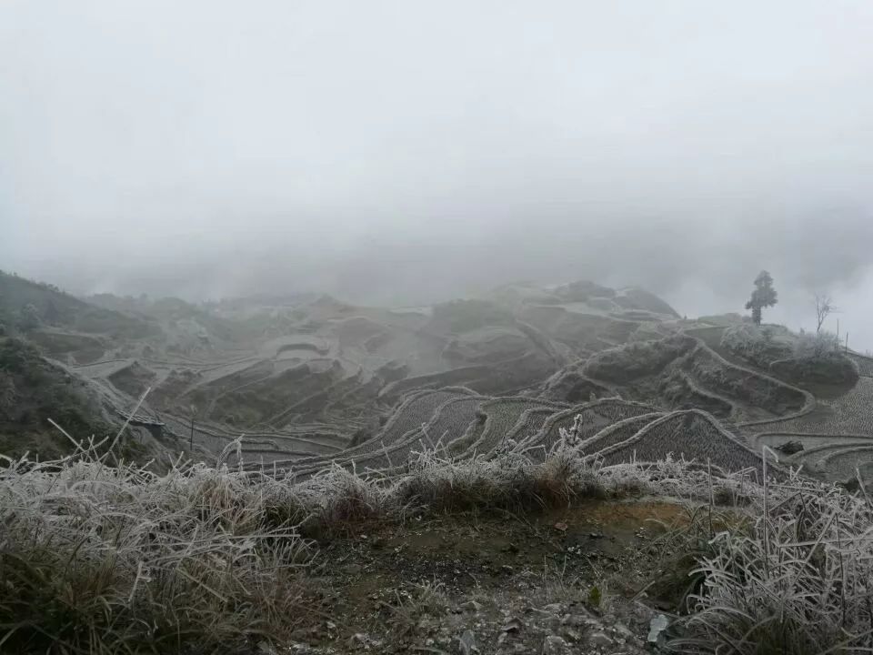 1月28日凝冻持续:小高山雪景最亮眼 凯里北部草原变成滑雪场