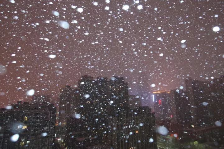 寒假班报名|风里雨里雪里,小萌在这里等你!