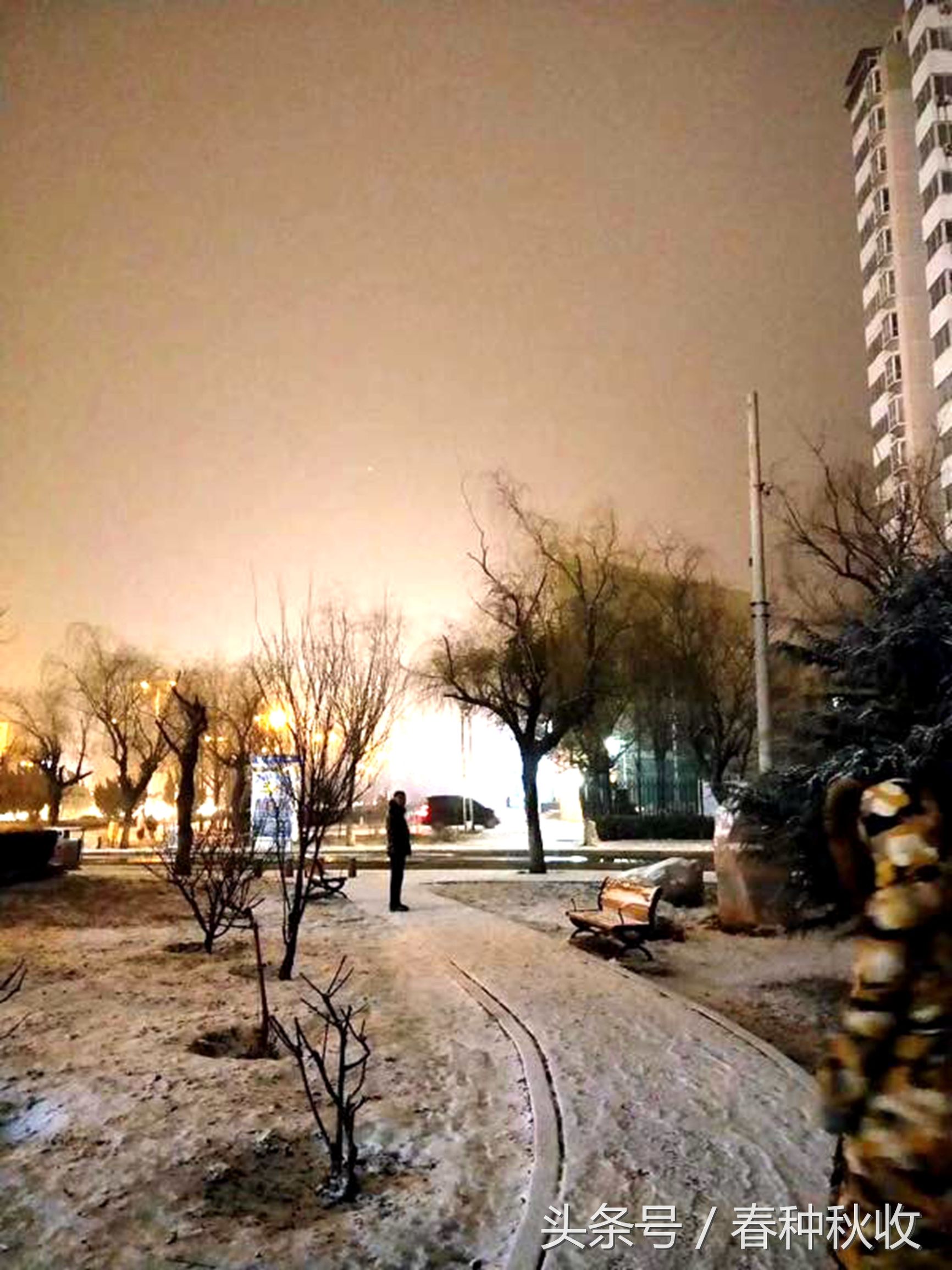 夜晚观雪,我爱这冬天的雪夜!