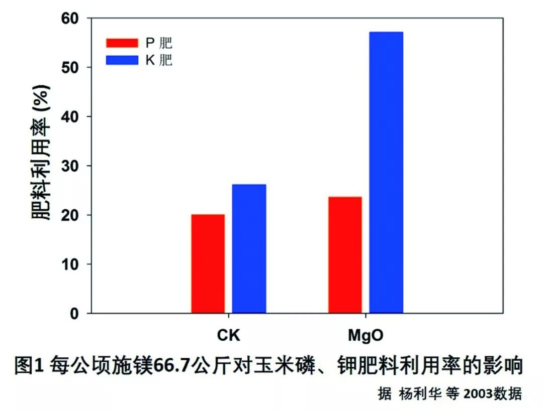 重大发现这肥能大幅提高养分利用率作物增产就靠它