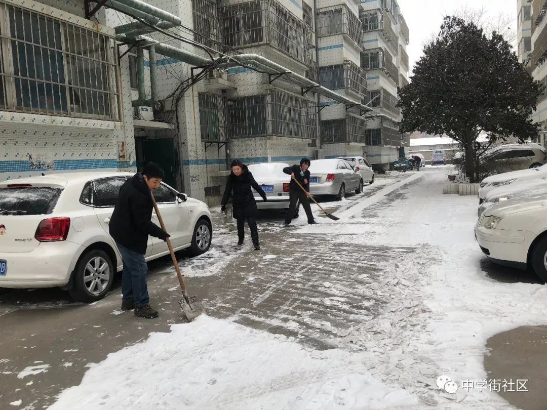 瑞雪纷飞扬,中学街社区扫雪忙