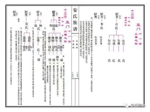 安氏南通族亲回乡认亲