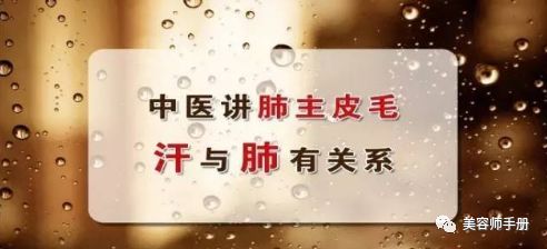 如果你既懂得肺主皮毛的道理,又知道从保养脾胃开始为自己的皮肤投资