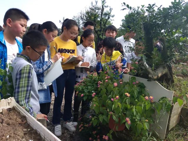 初中部学生正在"第二课堂"植物园观察植物