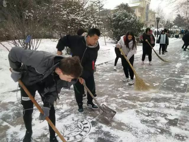 大雪美校园扫雪护安全青岛六十六中新疆班学生清扫校园积雪