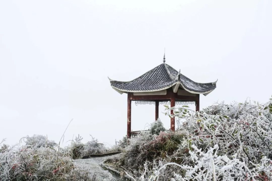 1月28日凝冻持续:小高山雪景最亮眼 凯里北部草原变成滑雪场