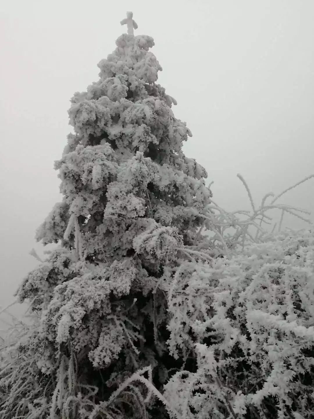 1月28日凝冻持续:小高山雪景最亮眼 凯里北部草原变成滑雪场