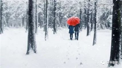 连续下雪11天，最低