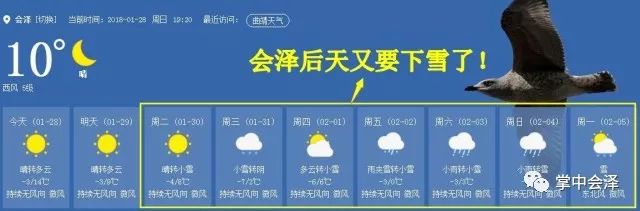 连续下雪11天，最低