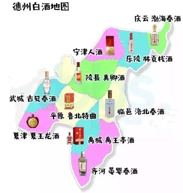 山东青岛人口_国际峰会后,青岛会是下一个风口城市吗(2)