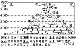 材料二 乞力马扎罗山自然带垂直分布图.