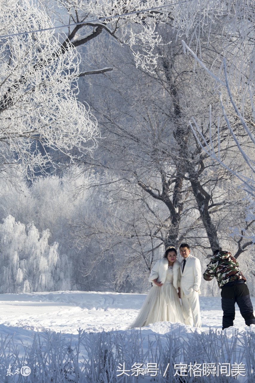 雪中婚纱照_雪中悍刀行图片