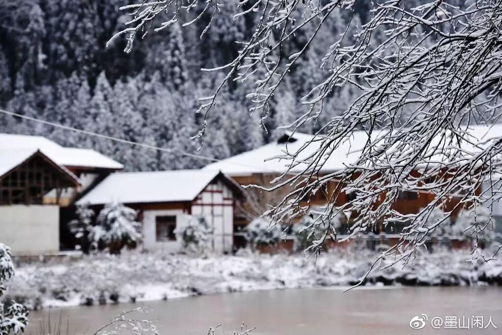 这两天,终于见齐了南方的雪!万万没想到,居然长.