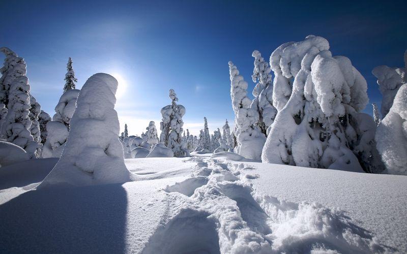 大雪背后的"最美雪景"