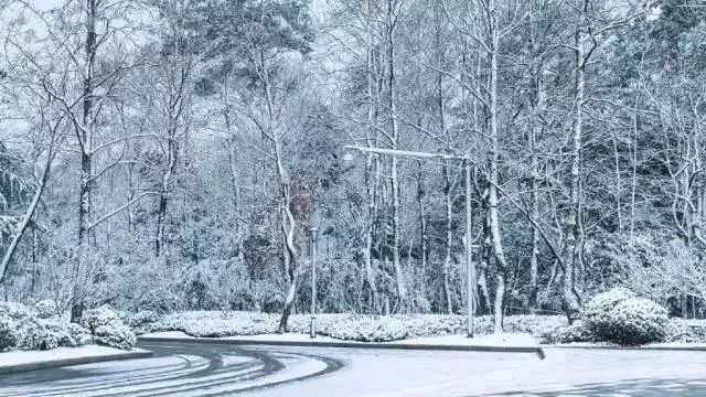 美爆朋友圈 | 南方地区求雪成功!仙境view已上线