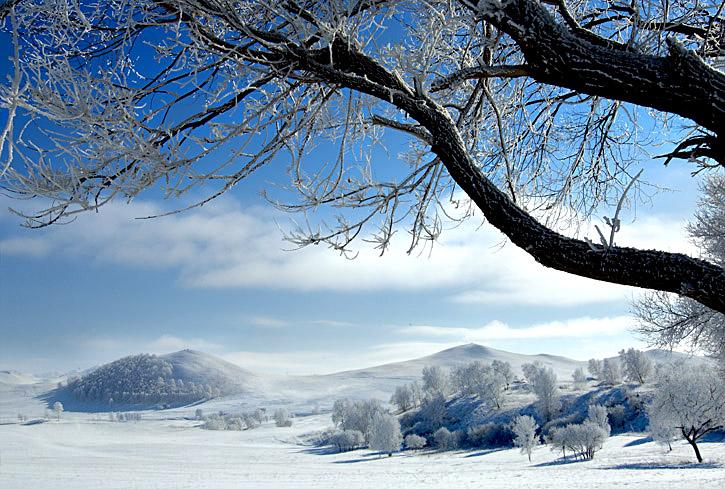 大雪背后的"最美雪景"