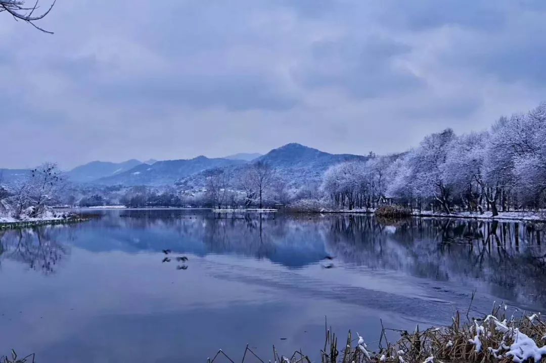 杭州西湖的雪景美的实在不像画,像仙境一般!