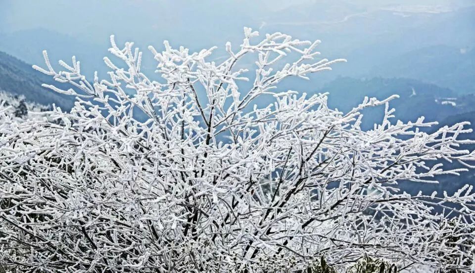 1月28日凝冻持续:小高山雪景最亮眼 凯里北部草原变成滑雪场