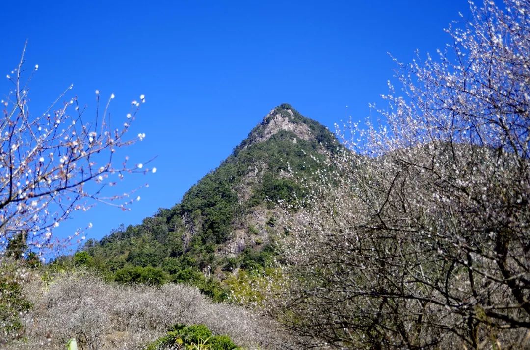 观天嶂,位于陆河县水唇镇的东南面,海拔约846米,这里林寒涧肃,茂林