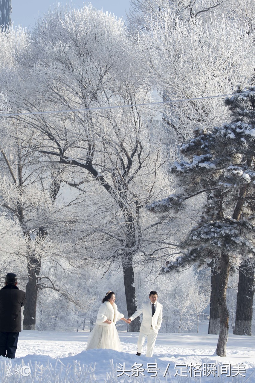 雪中婚纱照_雪中悍刀行图片