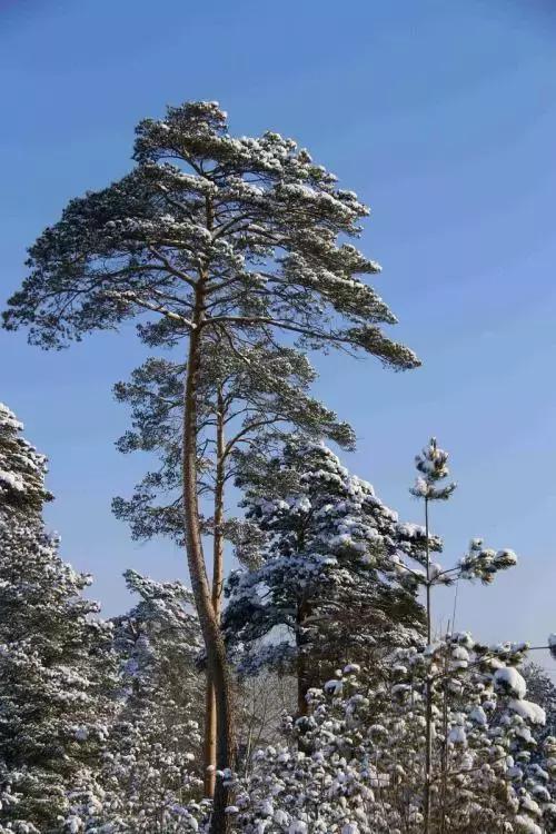 留住你的不仅是景色,还有长白山的故事