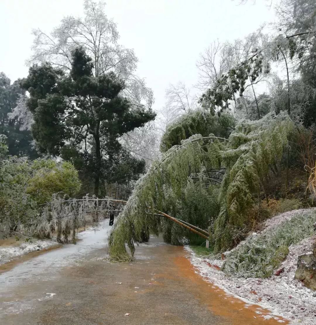 南城多少人口_台湾有多少人口