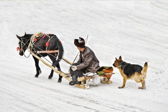 滑雪起源于中国你居然不知道