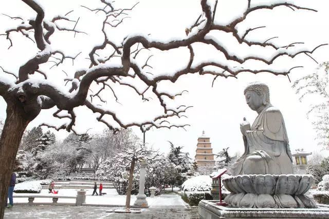 飞翔情感大雁塔的雪