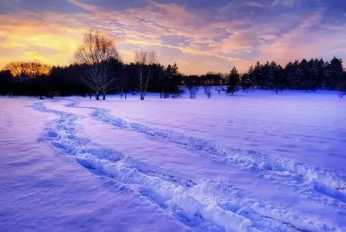 诗词赏析 | 刷爆朋友圈的中国雪景图最美的竟然是在这