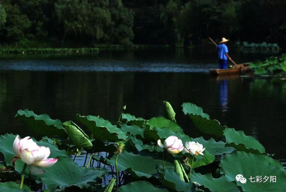 西湖美景三月天简谱_情人节后 最适合情侣的牵手旅行地(3)