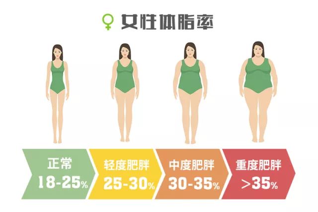 40 代 女性 体 脂肪 率