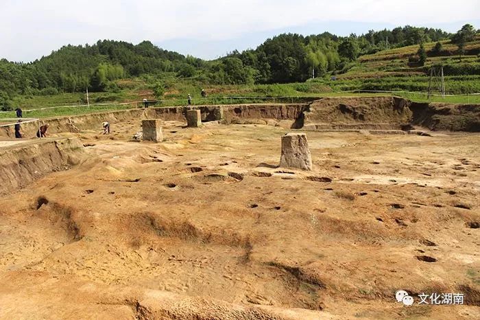 历史 正文 2017年,省文物考古研究所对该遗址进行了首次主动性考古