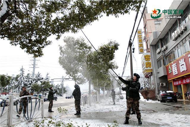 在江苏宜兴,武警某部机动第三支队官兵正在清理树上的积雪.