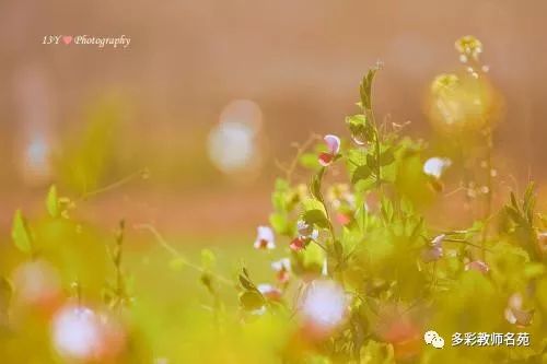 春暖花开与秋凉季节的交替，春暖花开与秋凉交替之际