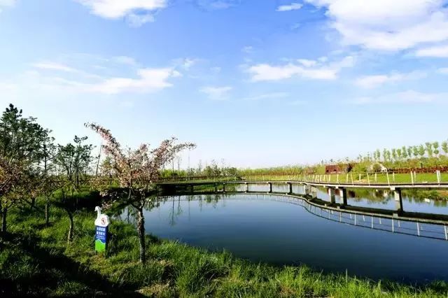 沣河湿地公园