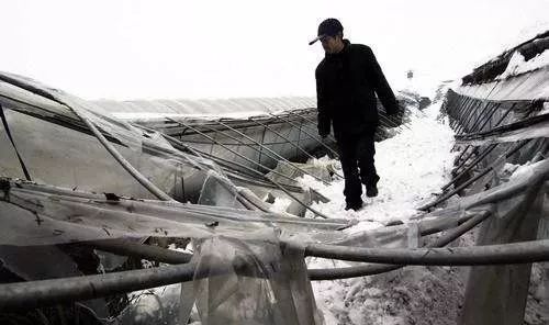 雪灾转移人口_08年雪灾图片