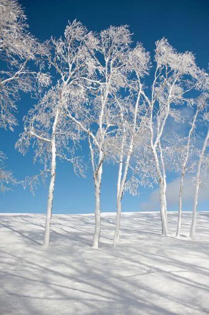 诗词赏析刷爆朋友圈的中国雪景图最美的竟然是在这几个字里