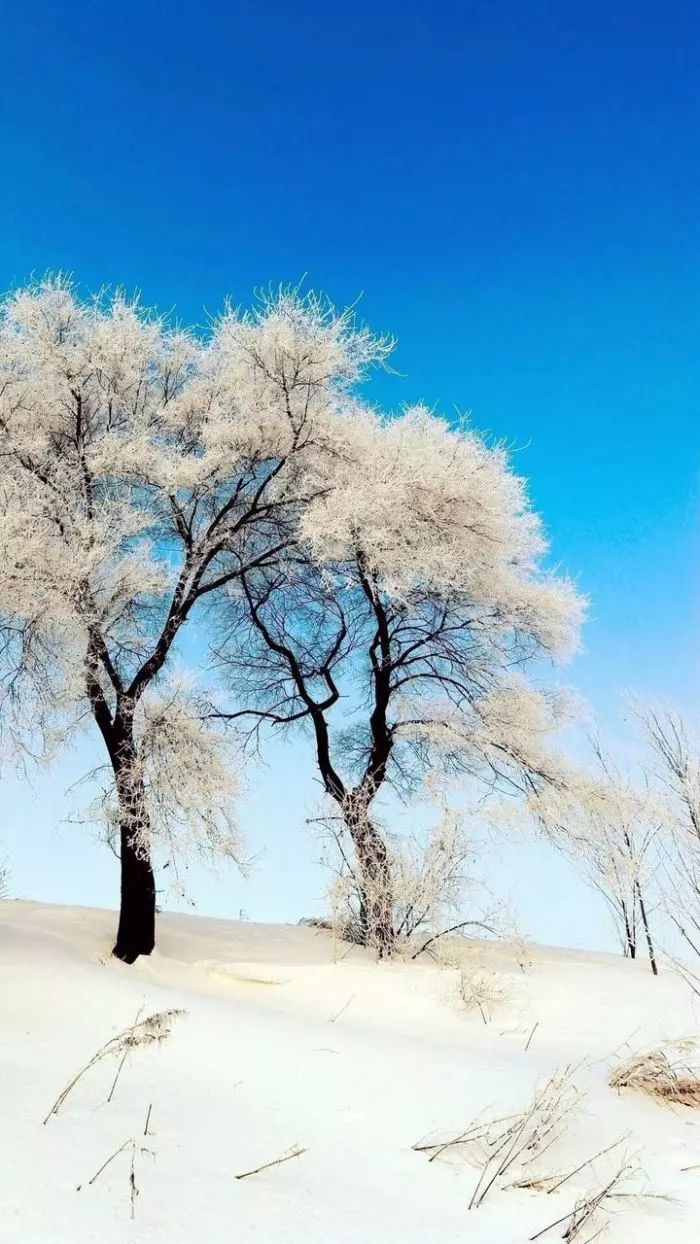 诗词赏析刷爆朋友圈的中国雪景图最美的竟然是在这几个字里